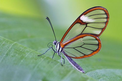 1972年属鼠年是什么命人男