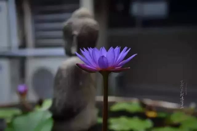 如何找到可靠的八字算命台湾服务,不被欺骗