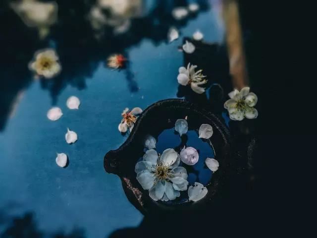 看月亮星座 位于狮子座的人骄傲自信