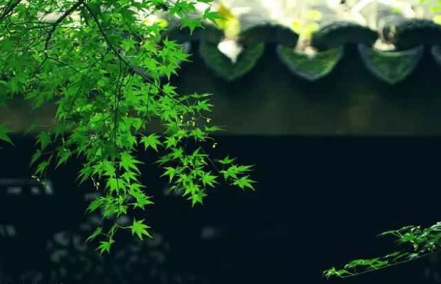 十二星座在斗罗大陆里是谁