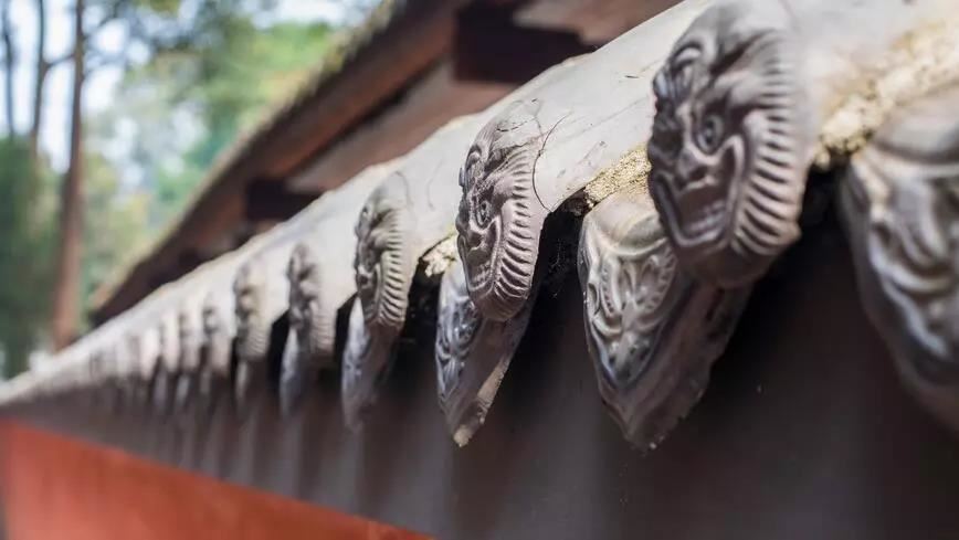 祖坟风水种什么树好 墓地旁边适合栽种的植物