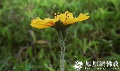 特殊命格结婚前需要化解吗 特殊命格的人结婚要注意啦