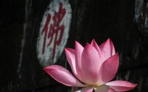 星座屋十二星座性格说明图片