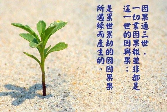 如何处理好婆媳关系？分享一些处理技巧