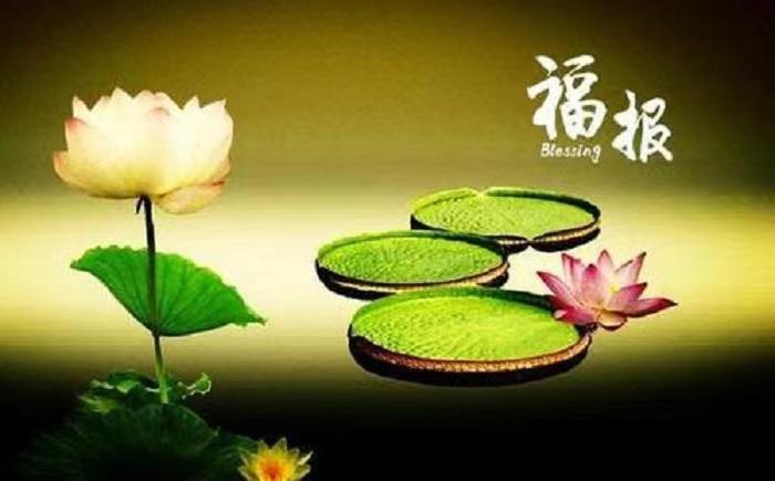 应该如何调解婆媳关系不和呢 媳妇可以做这些事情
