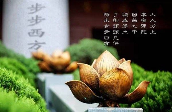 净土宗起源契机以及其发展历程