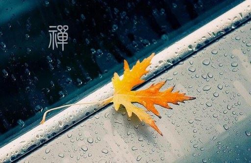 种生基没有效可否再种 要先了解不起效的原因