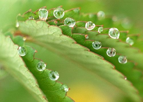 欠阴债数量查询方法分享