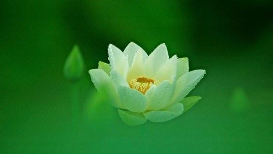 处理好婆媳关系，介绍几点妙招