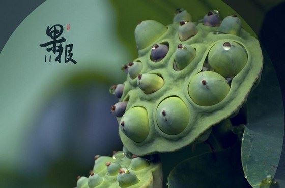 非常灵验的斩烂桃花符，学会使用它，感情路上没有第三者