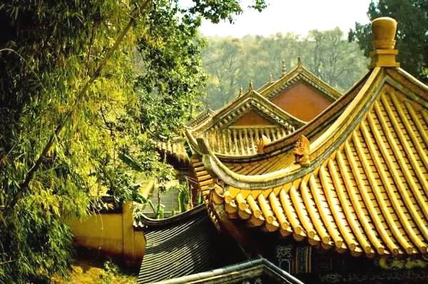 什么情况下影响和合术的作用 和合术不起效的几个原因
